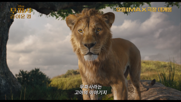 킹 이미지