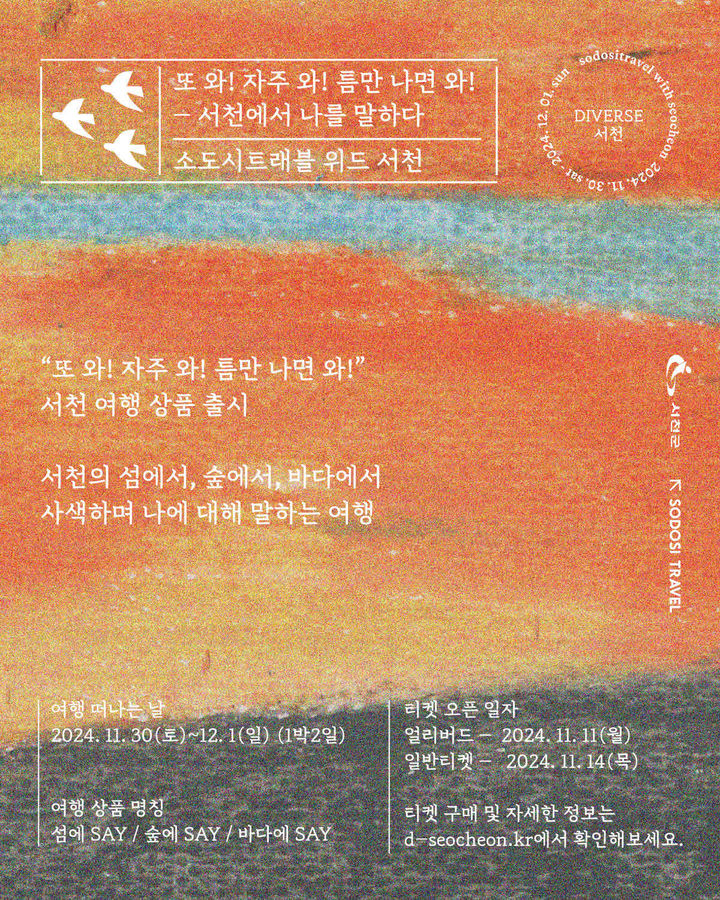 다이벌스 이미지
