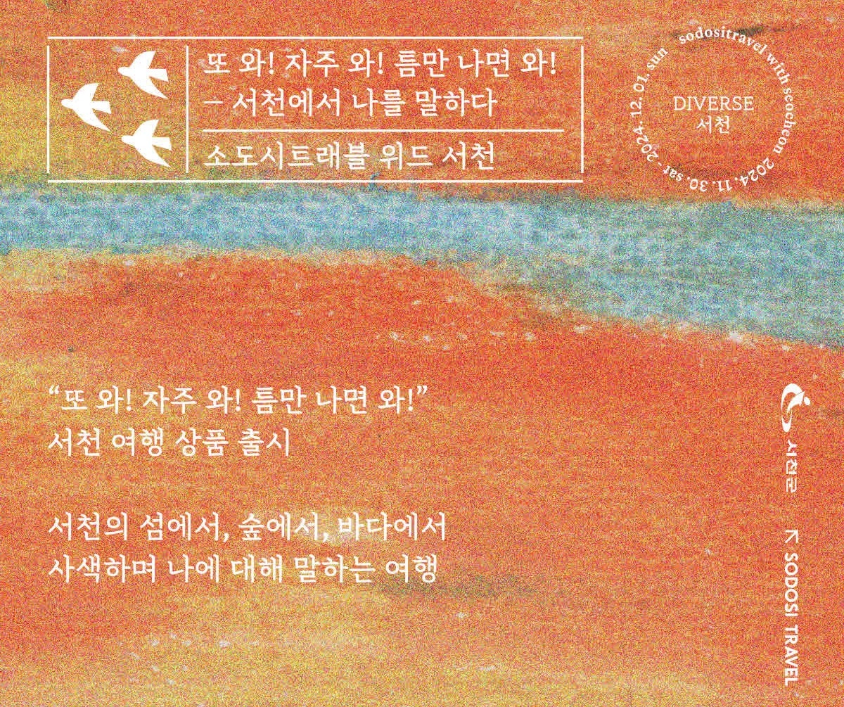 다이벌스 이미지