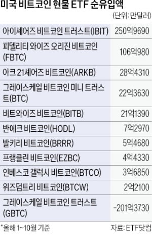 와이즈오리진 이미지