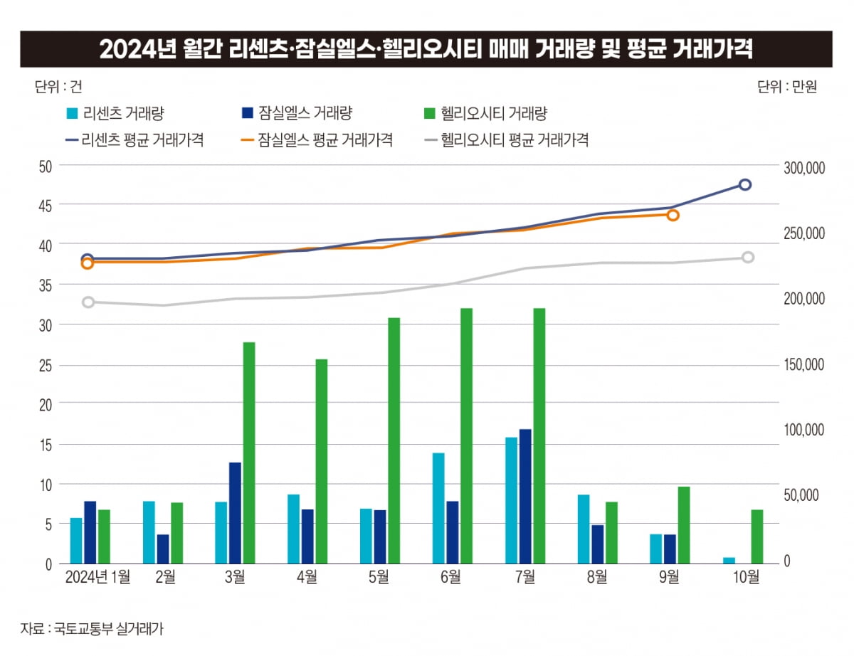 엘포커스 이미지