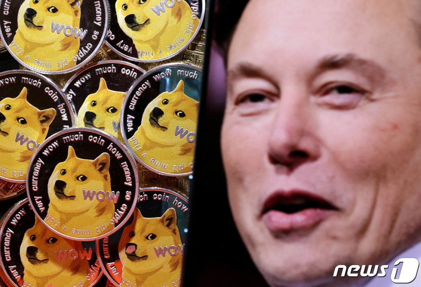 DOGE 25 doge-25