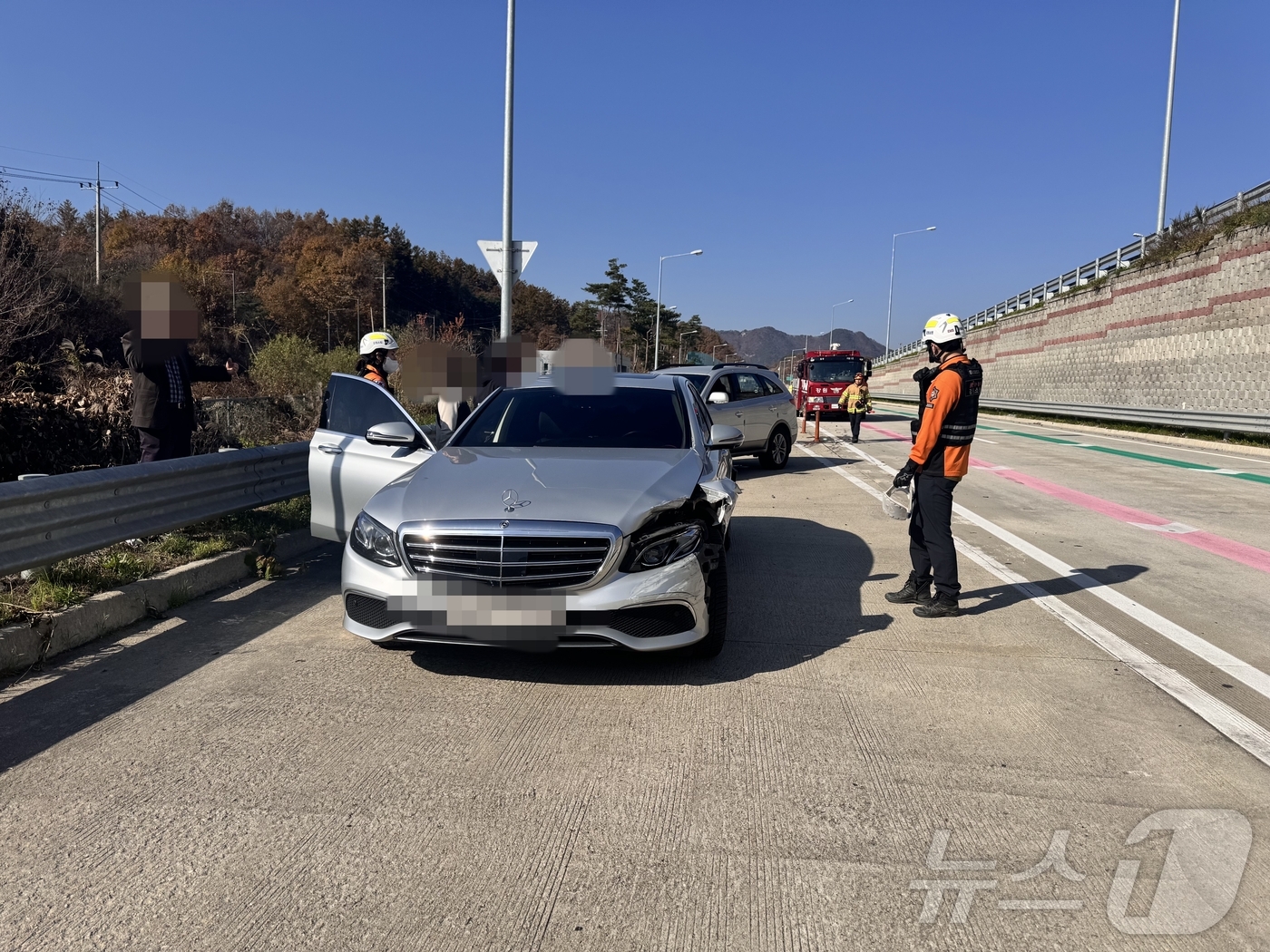 로이스크루즈 이미지