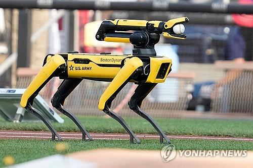 스팟 이미지