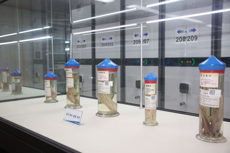 한반도 수산 이미지