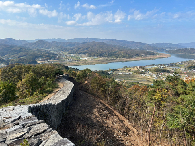 수목 이미지