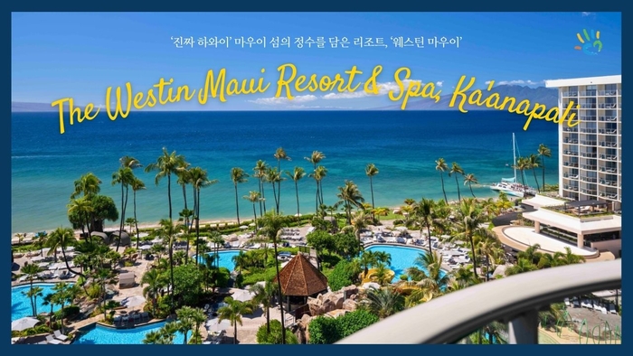 마우이 이미지
