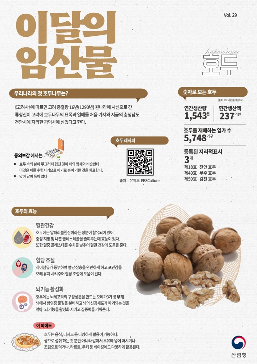 풍미호두 이미지