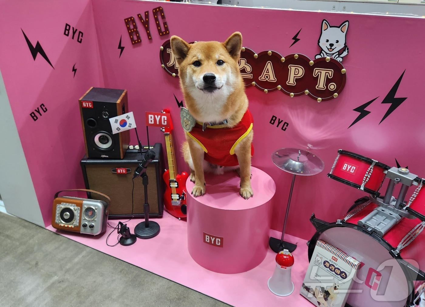 가**수(주) 이미지