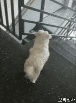 3eb4de21e9d73ab360b8dab04785736f913762bc3160b8b654706ec4cf613f4668b01b5abd48d6077b6d2df1d443a53e3edf36b86e886582b6af0934