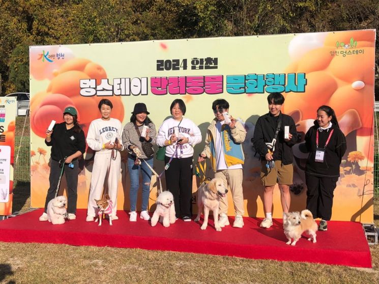인구스테이 이미지