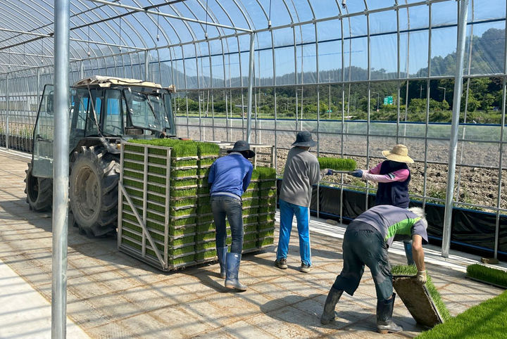 옥과축산 이미지