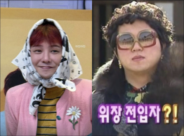 팔로인 이미지