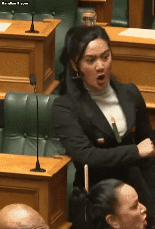 14일(현지시각) 뉴질랜드 의회에서 의원들과 관중들이 하카를 추고 있다./틱톡