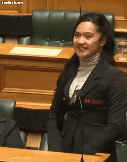 14일(현지시각) 뉴질랜드 의회에서 마오리족 의원이 법안에 반대하며 하카를 추고 있다./틱톡