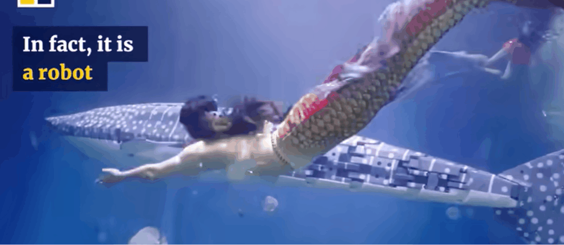 중국에서 전시 중인 로봇고래상어/출처=홍콩 SCMP