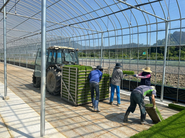 옥과축산 이미지