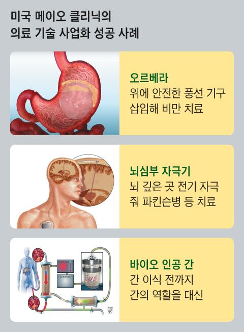 메이오 이미지