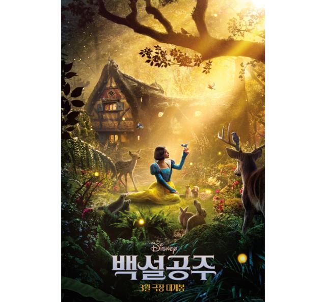 라틴컨텐츠 이미지