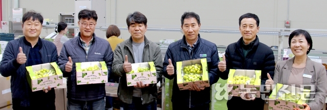 일번지유통 이미지