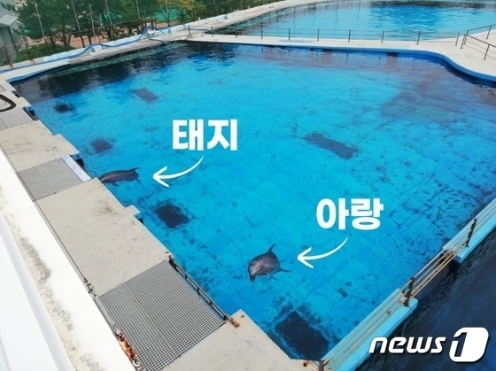 이송유통 이미지