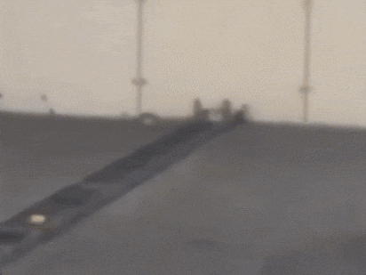 우리를 탈출한 햄스터 한 마리가 무리를 벗어나 빠르게 도망치는 모습. /X(옛 트위터)