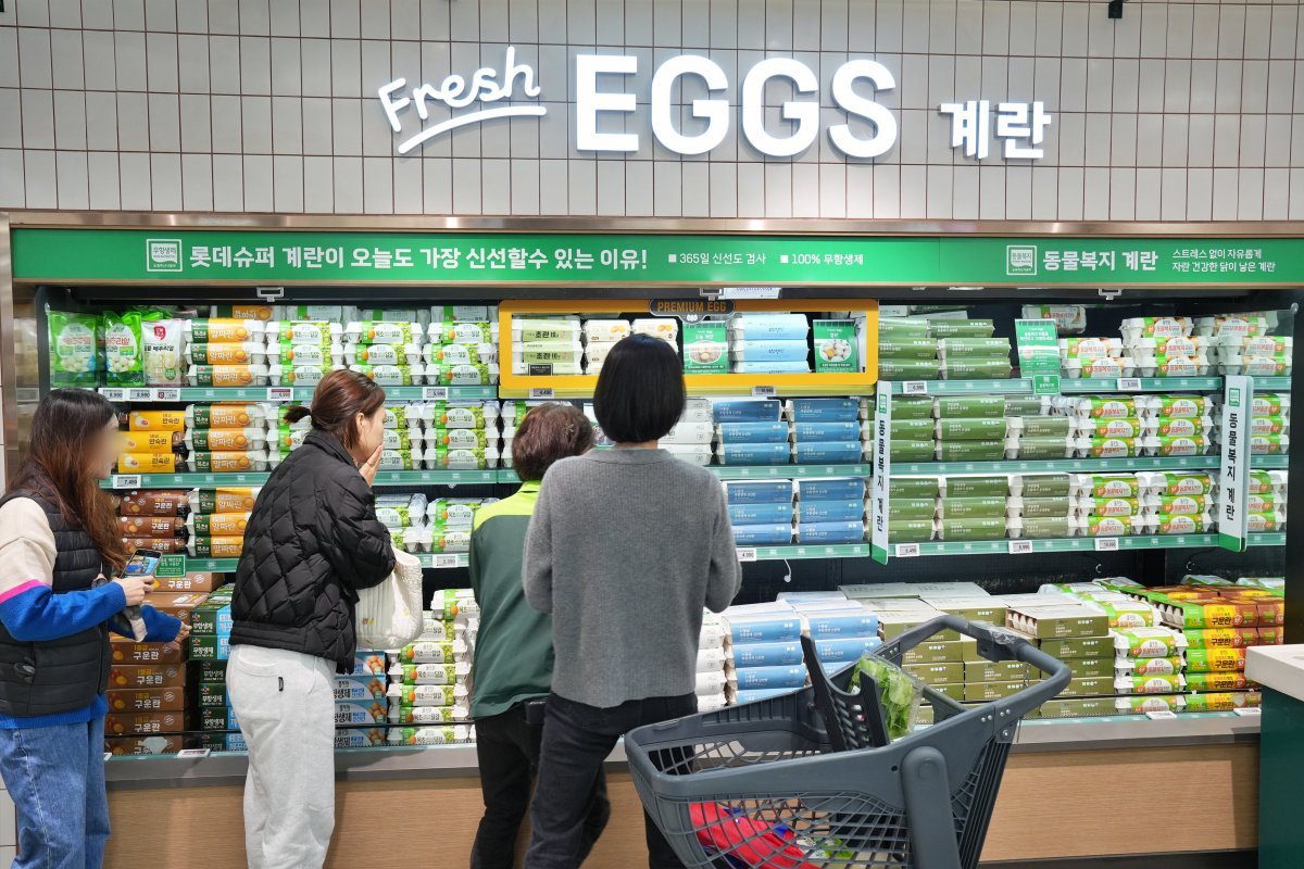 슈퍼브릭스 이미지