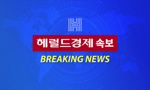 속보 이미지