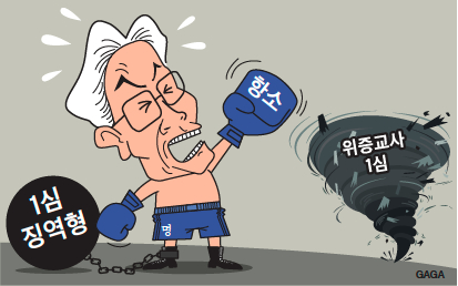 라운드 이미지
