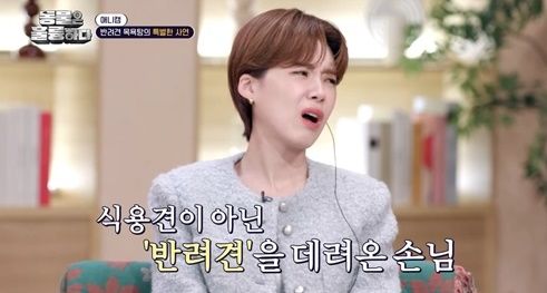 35년간 식용견 업자, '반려견 목욕탕 사장' 된 사연 | 인스티즈