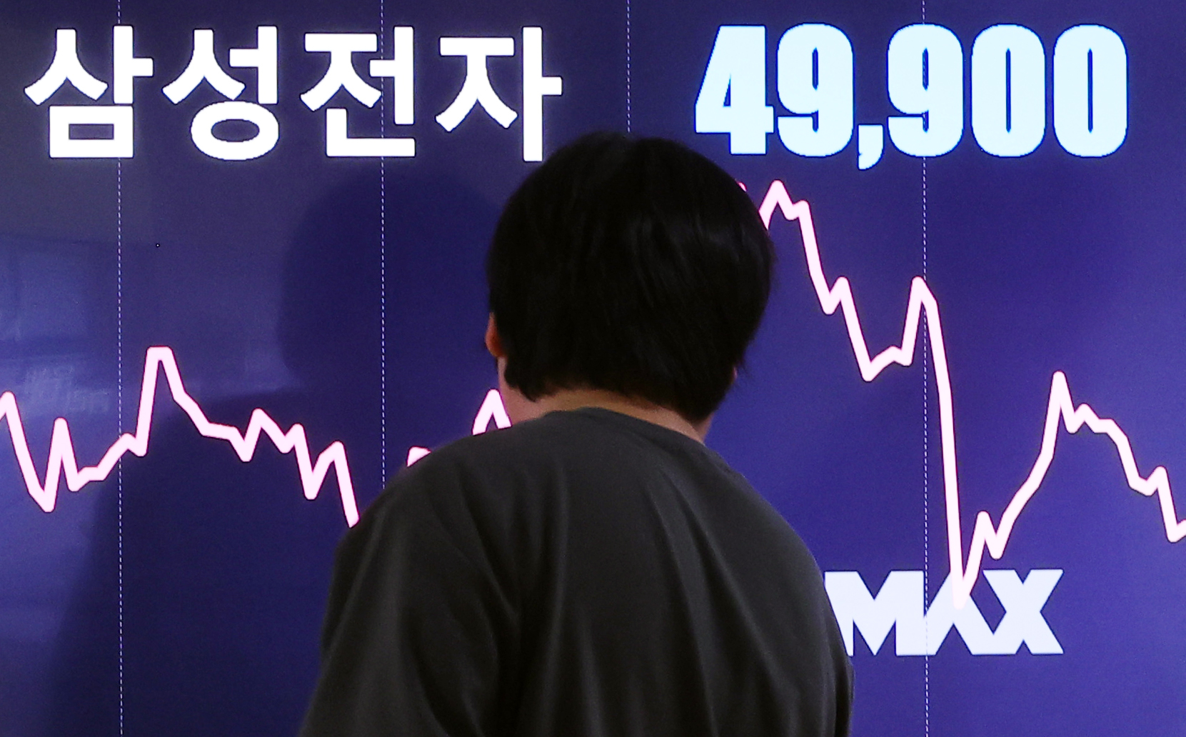 볕들 이미지