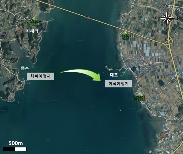바다;숲 이미지