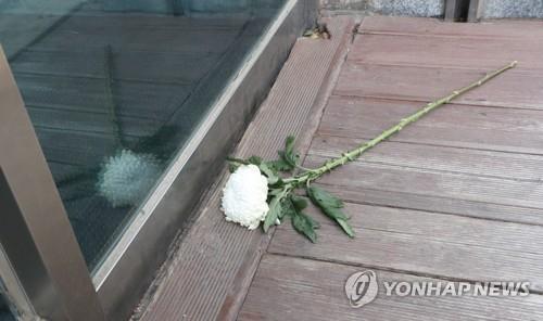 국화통신 이미지