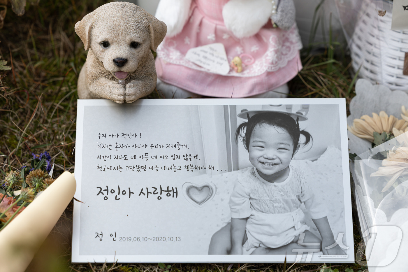 세종안데르센 이미지