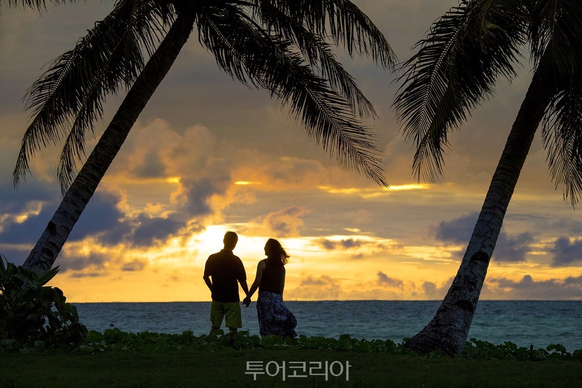 (주)참항공여행사 이미지