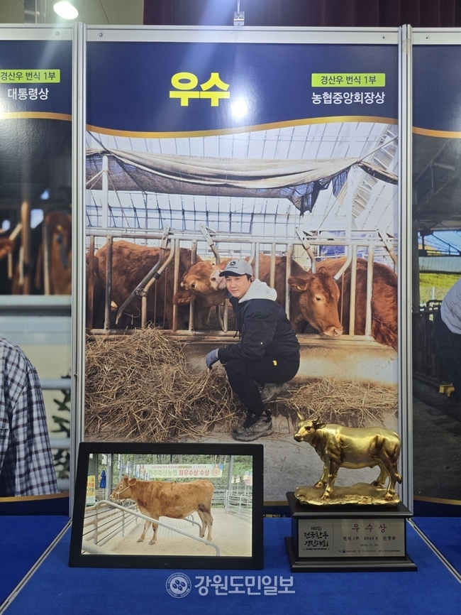 평창영월정선축산업협동조합 이미지