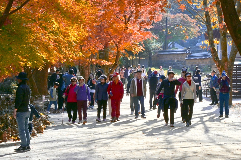 순창 이미지