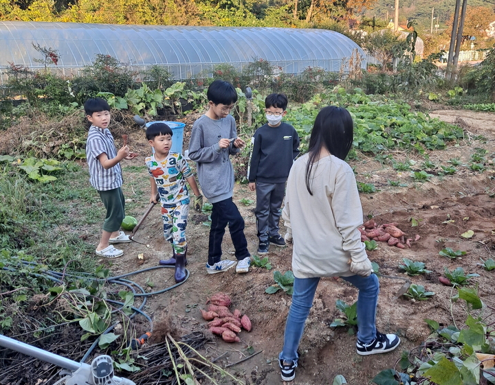 엄마품자연품농촌유학센터 이미지