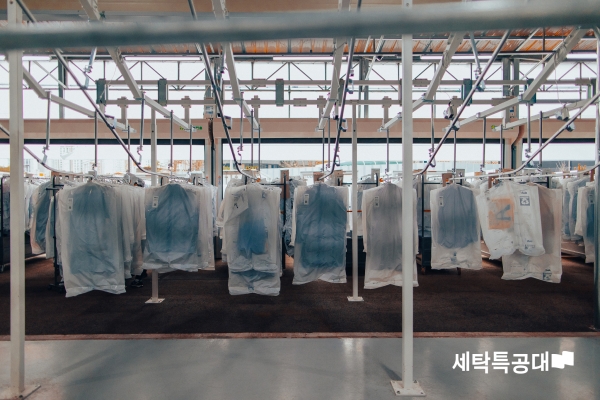 세탁 이미지