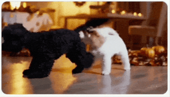 오픈AI '소라'로 제작된 영상 (영상=콜 트레가스케스 X 캡처)