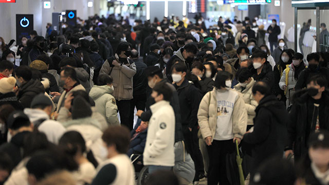 제주동동 이미지