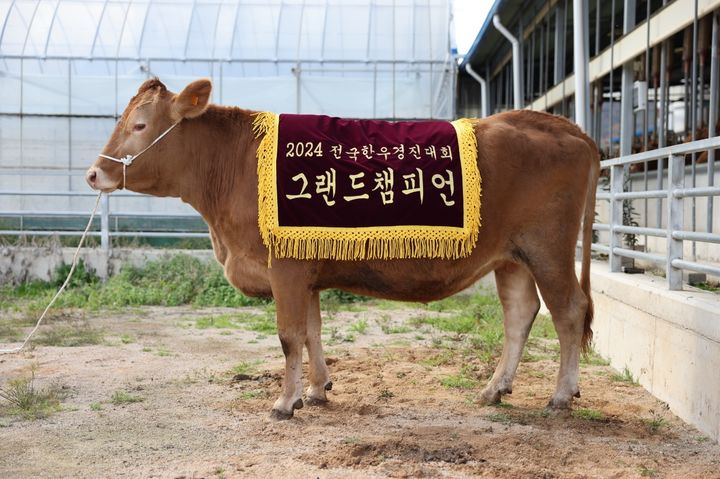 한우 이미지
