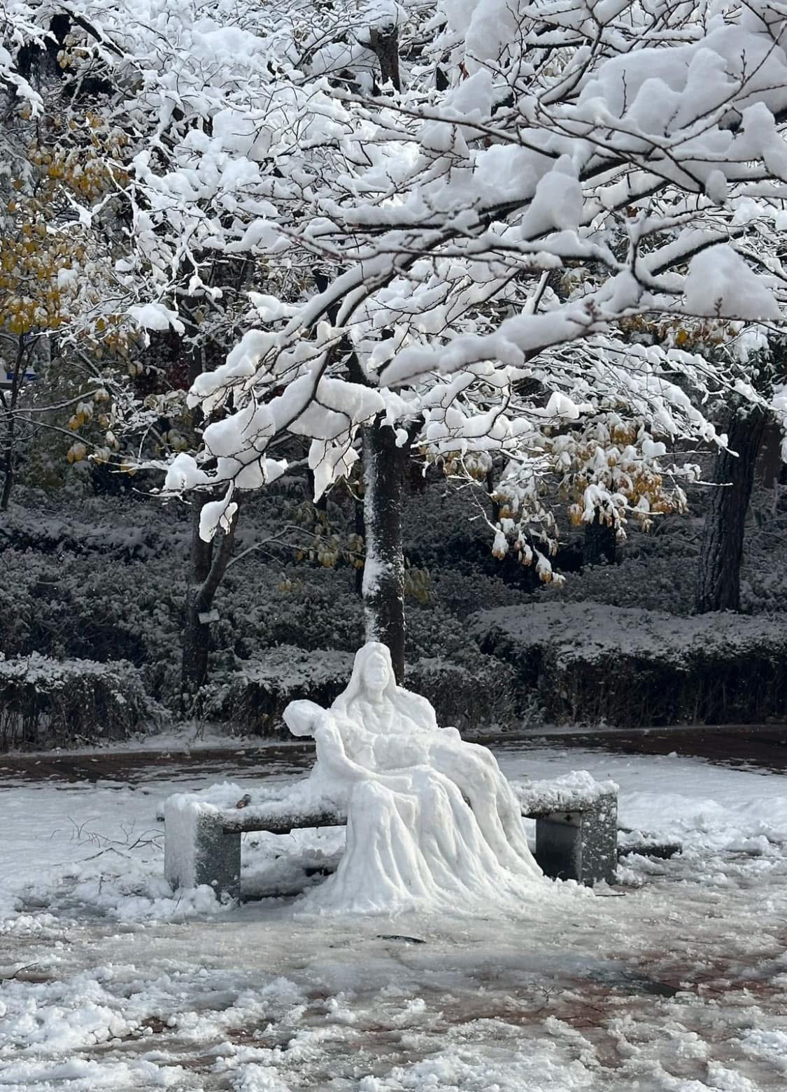 미대 눈사람 클라스 | 인스티즈