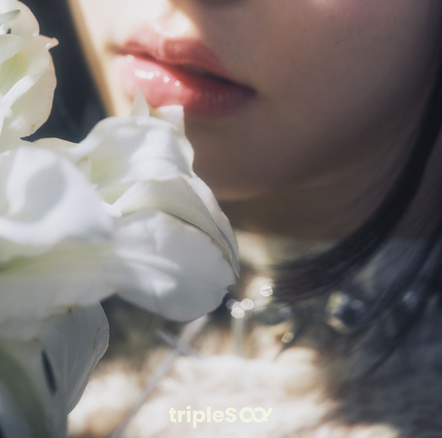 트리플 이미지
