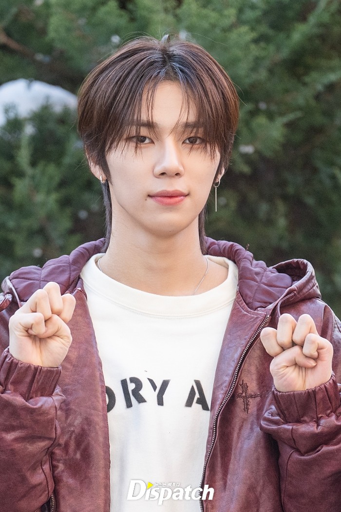 콩콩 이미지