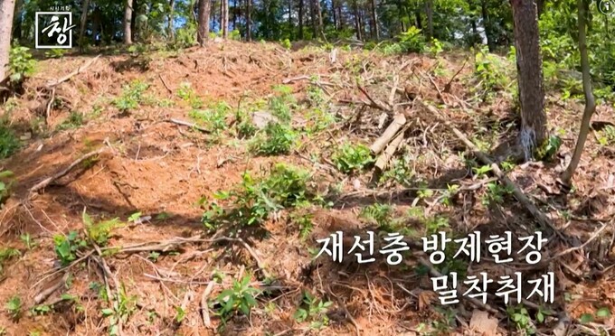 소나무기획 이미지