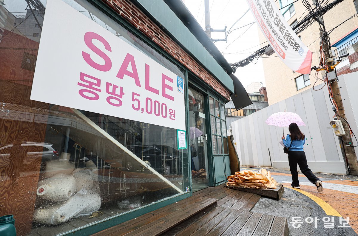 황금알 이미지