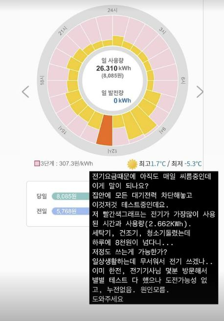 아이비 이미지