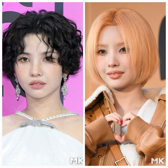 이언니헤어 이미지