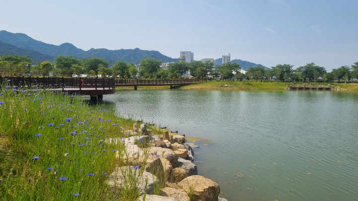 한국자연공원협회 이미지